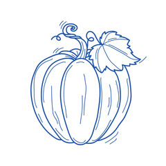 Vector hand drawn blue sketch of pumpkin with leaf isolated on white background