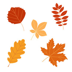 Autumn hello fall. autumn backgrounds patterns
