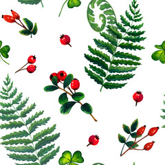 Watercolor seamless pattern wild forest fern and branch red berries, cranberry, cowberry, rosehip. Nature forest lawn scene. Wild landscape. Isolated eco natural illustration on white background
