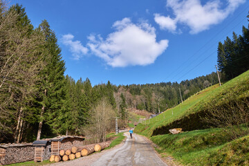 Mountain landscape in the Alps. Panoramic view of beautiful mountain landscape in the Bad Rippoldsau-Schapbach in the Black Forest, area near Burgbach Wasserfall, Baden-Wurttemberg, southern Germany.