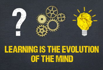 Learning is the evolution of the mind