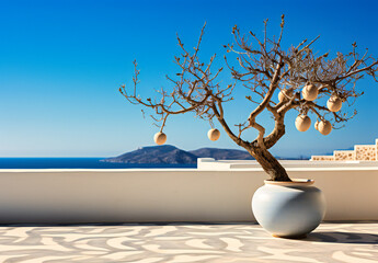 olive tree on a concrete terrace at an ancient hotel in greece