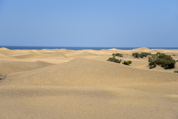 Sanddünen von Maspalomas / Insel Gran Canaria