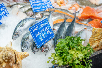  Fish for sale inside London's famous Borough Market.