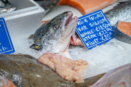  Fish for sale inside London's famous Borough Market.