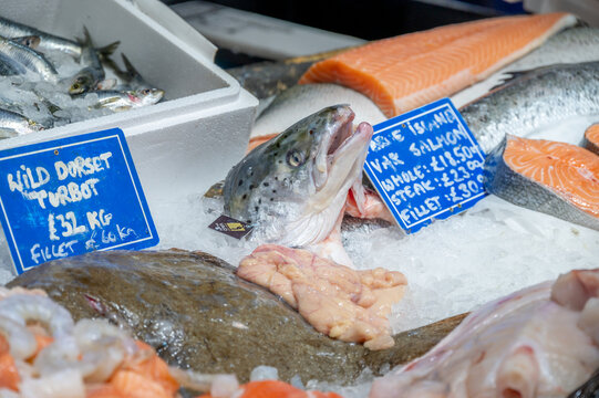  Fish for sale inside London's famous Borough Market.