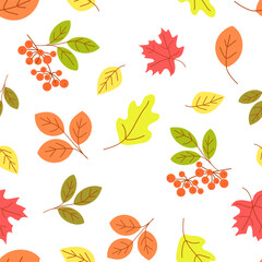 Pattern Autumn leaves and branches of mountain ash. Vector