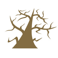 dry tree without leaves