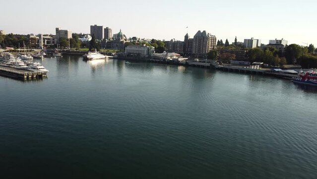 boats in the harbor