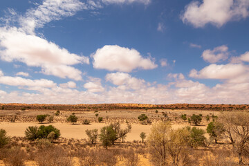 Arid Kgalagadi or Kalahari Landscape, South Africa