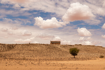 Auchterlonie in the Kgalagadi Transfrontier Park, Kalahari