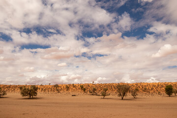 Cloudy Kalahari landscapes of the Kgalagadi Transfrontier Park