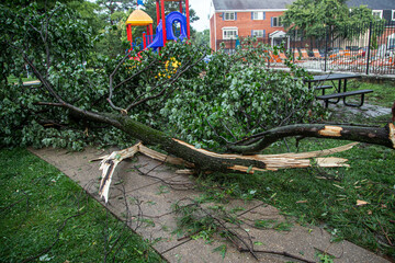 aftermath a severe thunderstorm happened in Maryland on July 29 2023 