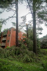 aftermath a severe thunderstorm happened in Maryland on July 29 2023 