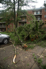 aftermath a severe thunderstorm happened in Maryland on July 29 2023 