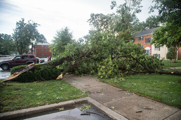 aftermath a severe thunderstorm happened in Maryland on July 29 2023 