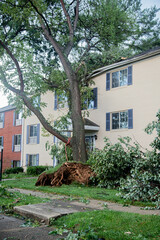 aftermath a severe thunderstorm happened in Maryland on July 29 2023 