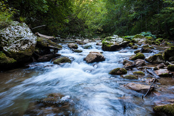 Naklejka na ściany i meble Mountain river, river in the forest.