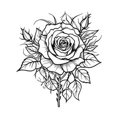 Vector Illustration of a rose frame with lines drawing for logo,icon, black and white