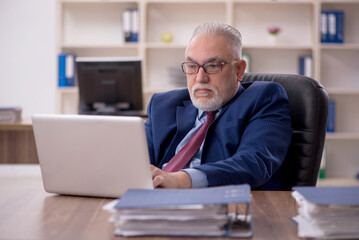Old male employee working in the office