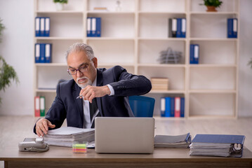 Old male employee working in the office