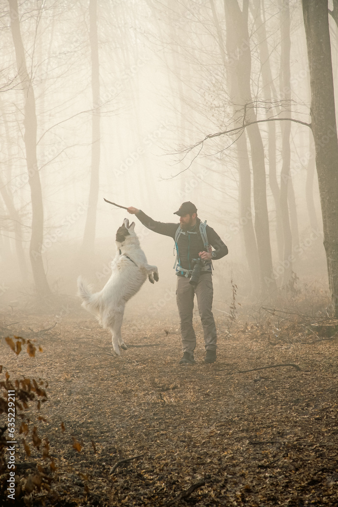 Wall mural happy dog and owner in foggy forest