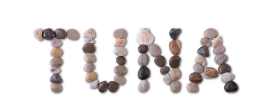 The word "TUNA" is lined with shells and stones of different shapes and colors on a transparent background. Types of fish and seafood, price tag, sea food, fish market, sea alphabet.
