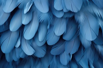 Fototapeta premium Beautiful multicolour feathers background in pastel blue colors. Closeup image of colorful fluffy feather. Minimal abstract composition with place for text. Copy space