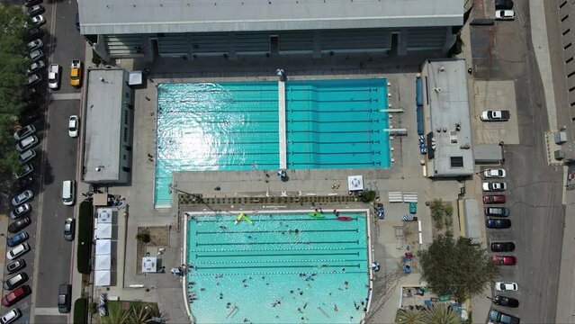 overhead tilt aerial footage of the people swimming in the pools at John C. Argue Swim Stadium at Exposition Park surrounded by lush green palm trees and parked cars in Los Angeles California