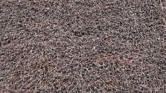 time lapse. cooling tower or saline is a structure made of bundles of twigs of blackthorns, through which the water of salt springs flows