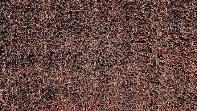 time lapse. cooling tower or saline is a structure made of bundles of twigs of blackthorns, through which the water of salt springs flows