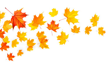 Naklejka na ściany i meble Autumnal background. Autumn maple leaves falling down with the wind