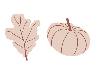Oak leaf and pumpkin hand drawn spot illustrations isolated on white background. Autumn vector elements. Fall season mood