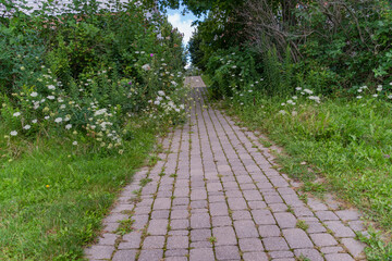 Paved with paving slabs, the path goes into the distance through the green bushes