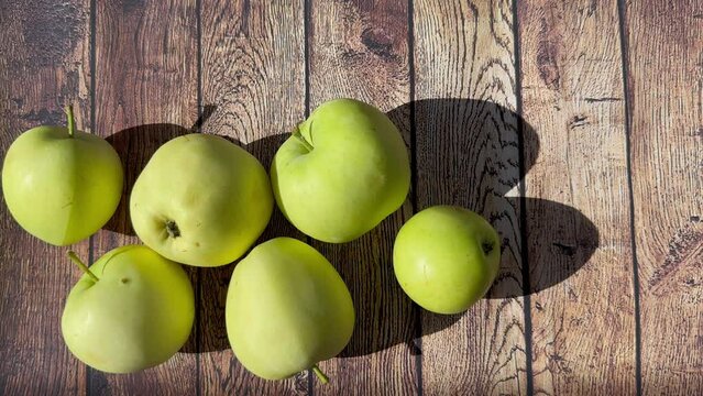 A group of ripe juicy apples to which a small green apple rolled on a wooden table on a sunny day. Green ripe juicy apples on a wooden background. Harvesting fruit on the farm. The concept of growing 