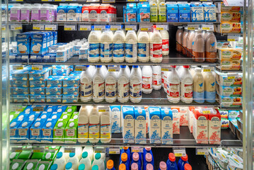 Italy - August 14, 2023: Packages of fresh milk and fresh cream of various types and brands on the refrigerated counter shelves for sale in Italian supermarket