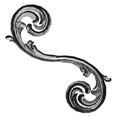 Baroque engrave ornaments. Ornate swirling floral motif