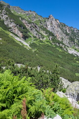 Landscape of Rila Mountain near Malyovitsa hut, Bulgaria