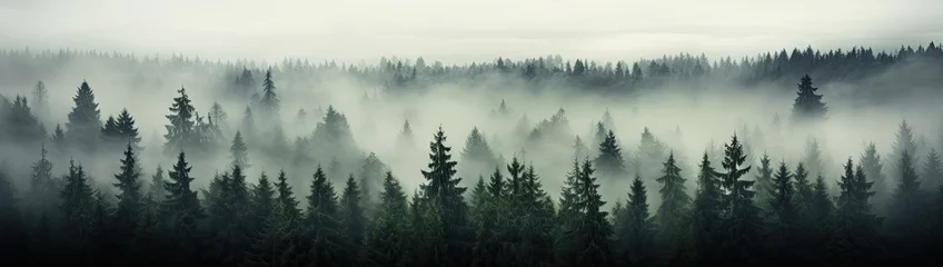Fotobehang dark pine trees in mist Generative AI © SKIMP Art