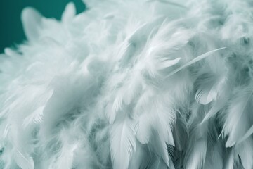 Pale teal blue background with white fluffy feathers, representing spring summer 2016 fashion trends in soft focus. Generative AI