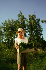 Young woman farmer holding crate with swiss chard   