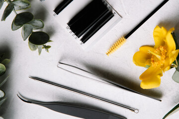View from above of professional tools using for fake eyelash extension procedure, lying on table near stems and flower.