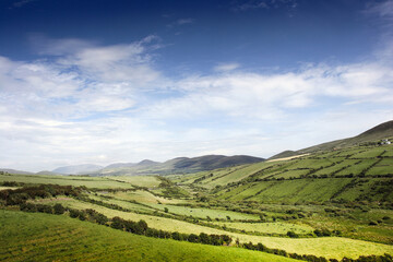 Fototapeta na wymiar Rolling green hills with blue sky in Ireland
