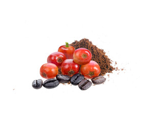 coffe powder seed  isolated  on   trasparent png