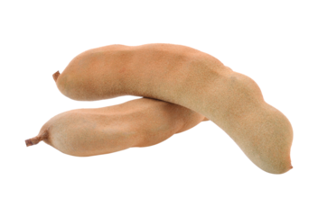 Giant tamarind on the tamarind tree branch, tamarind for cooking To taste sour food transparent png