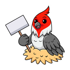 Cute red crested cardinal bird cartoon holding blank sign