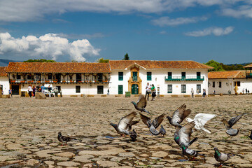 Close-up of pigeons flying in the Main Square of Villa de Leyva, Colombia