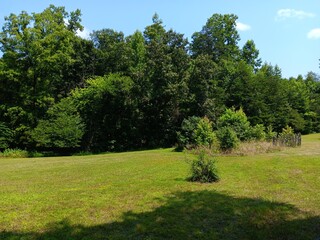 Historic abandoned garden, Holland Page Place, Fluvanna county, Virginia