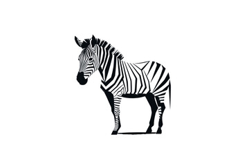 Fototapeta na wymiar Vector sketches of a zebra on a white background