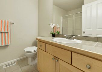 Fototapeta na wymiar Modern residential luxury bathroom interior